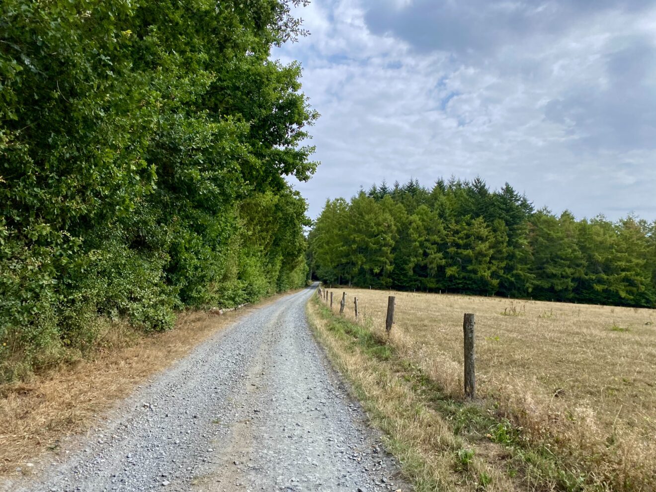 hardennes-gravel-tour-resist-ride